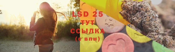 спайс Нея