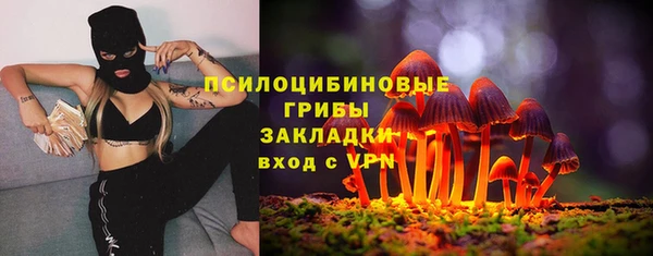 мяу мяу мука Абинск